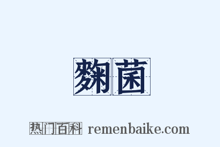 麴菌是什么意思的图片